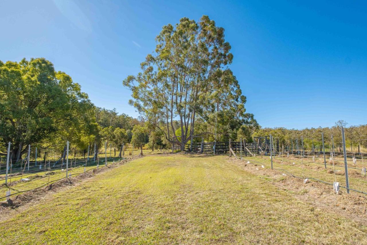 Vila Widgereedoo Farm. Vineyard Views. Peaceful Retreat. Tamaree Exteriér fotografie