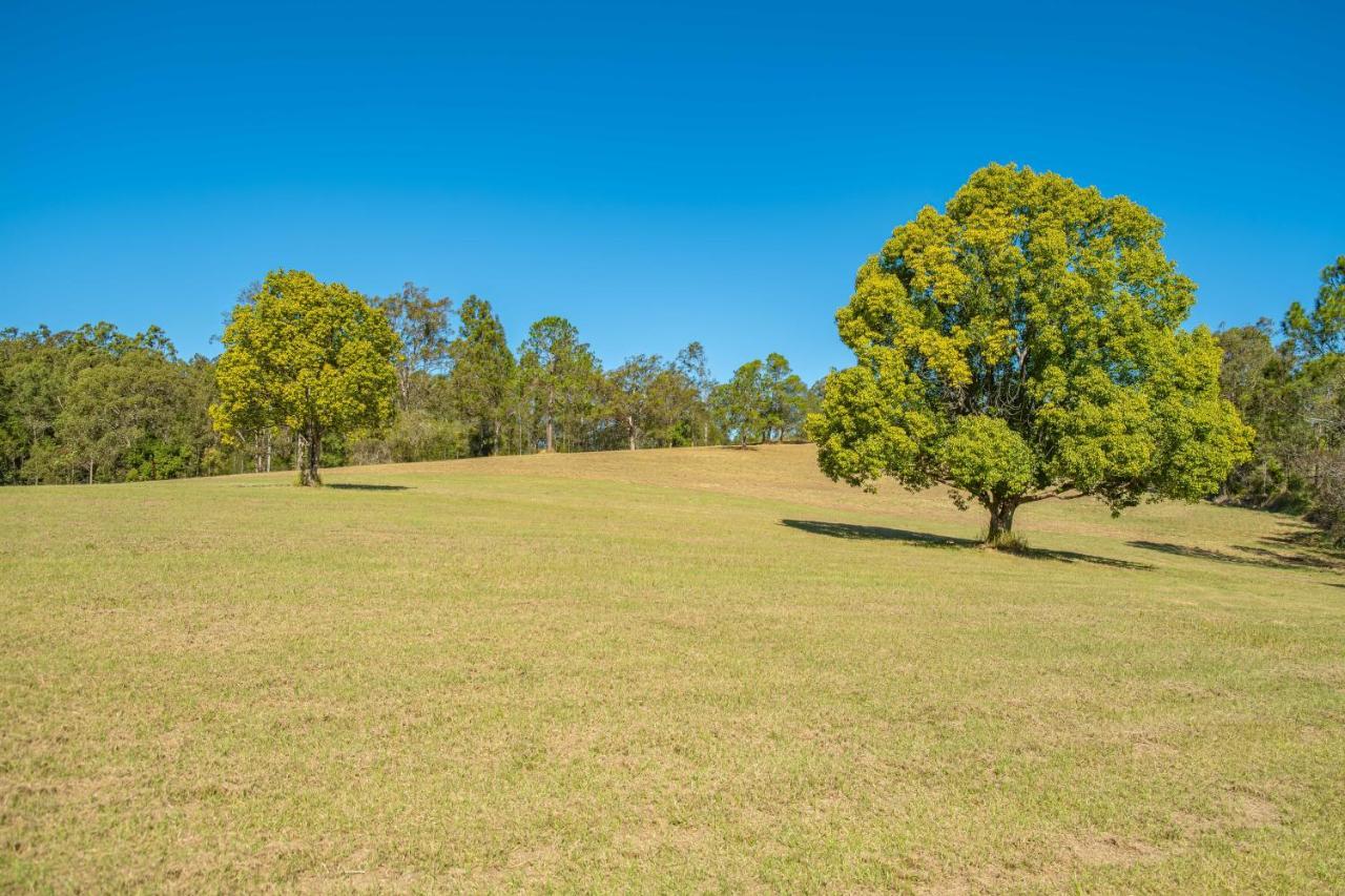 Vila Widgereedoo Farm. Vineyard Views. Peaceful Retreat. Tamaree Exteriér fotografie